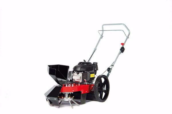 PictureAltAttribute - 1-127-jpg